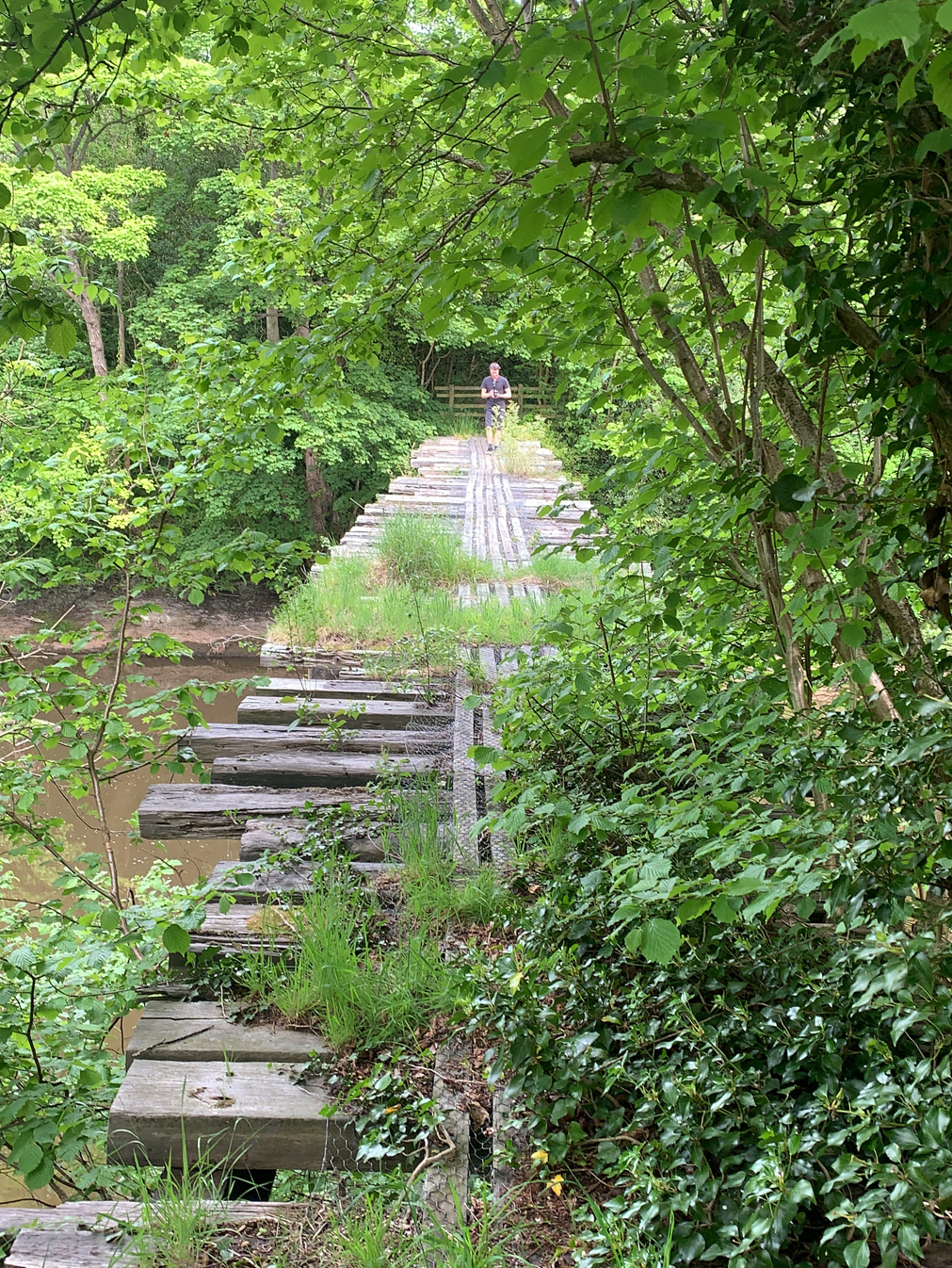 Finding_Ford_Steve_Tackles_The_Bridge